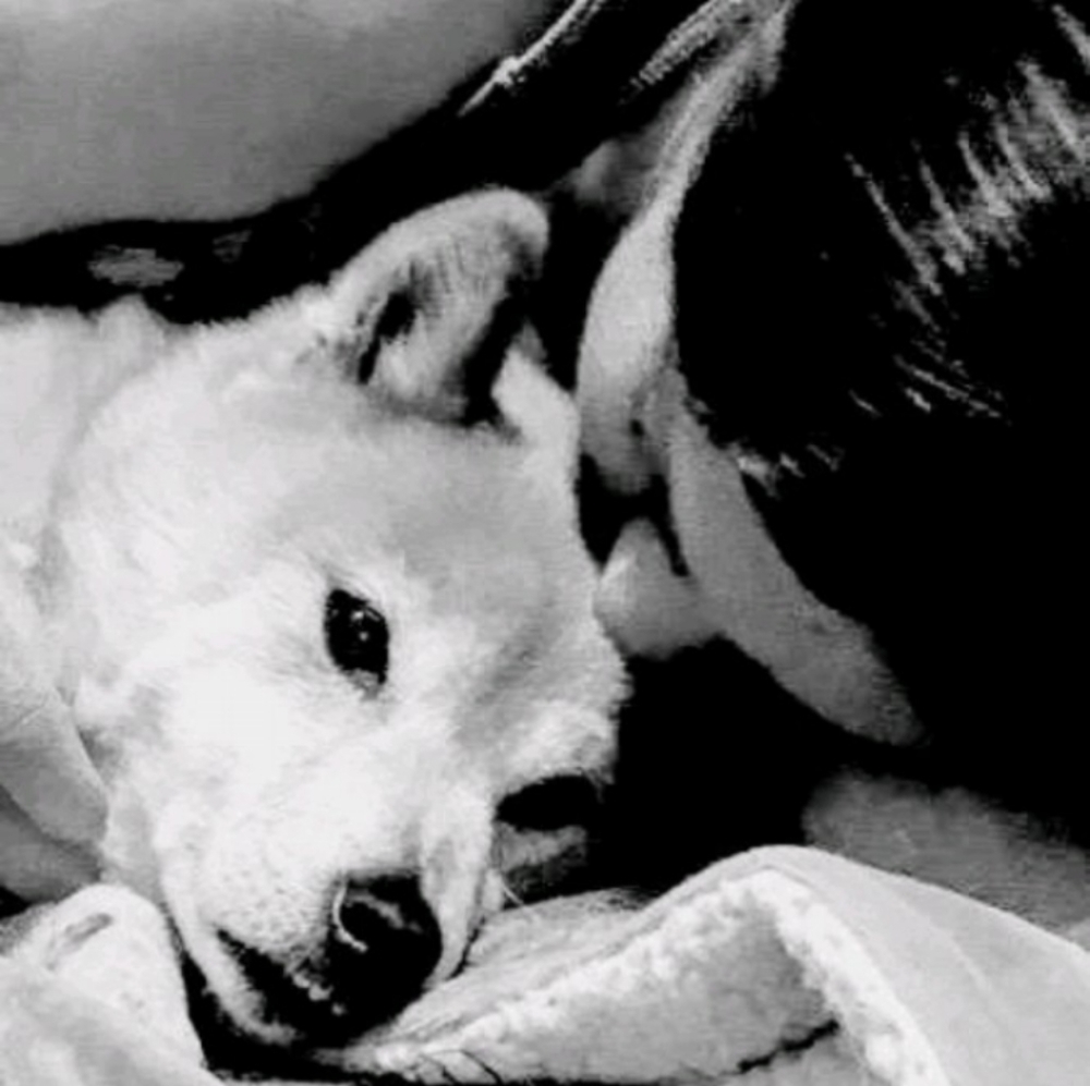 Meet your Posher, Mimi